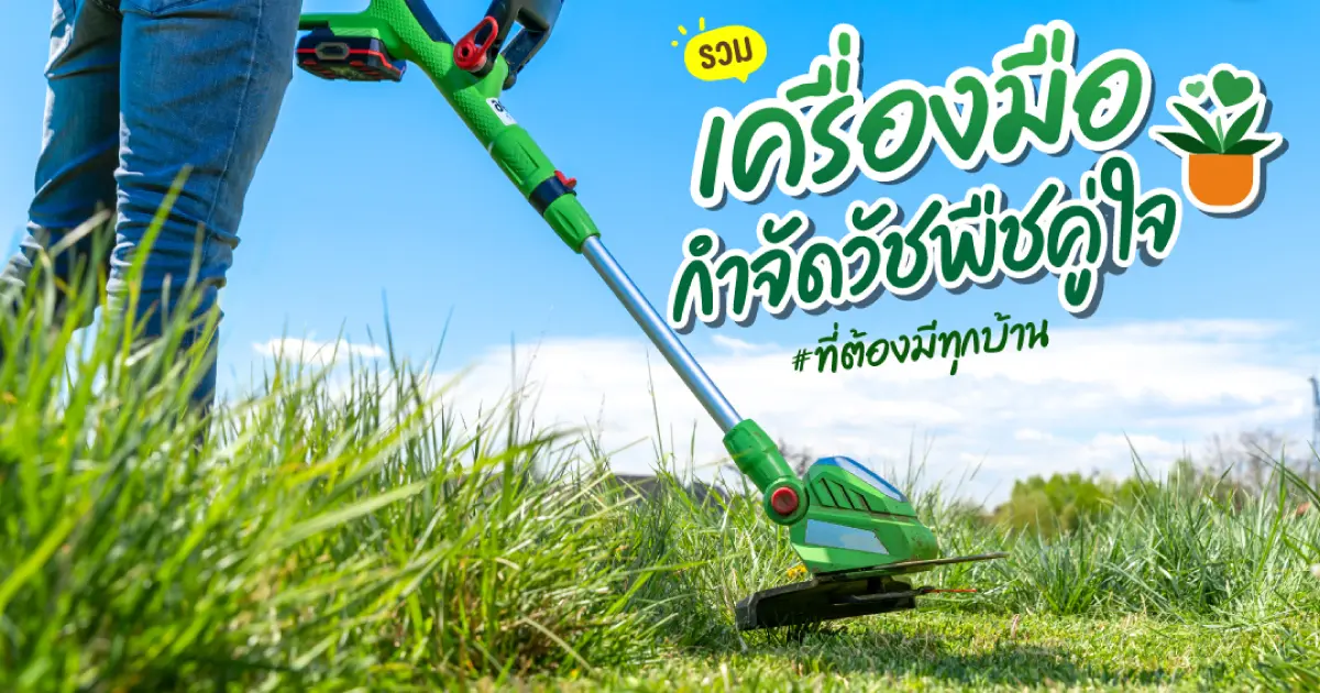 เครื่องตัดหญ้า เครื่องมือกำจัดวัชพืชคู่ใจที่ต้องมีไว้ติดบ้าน