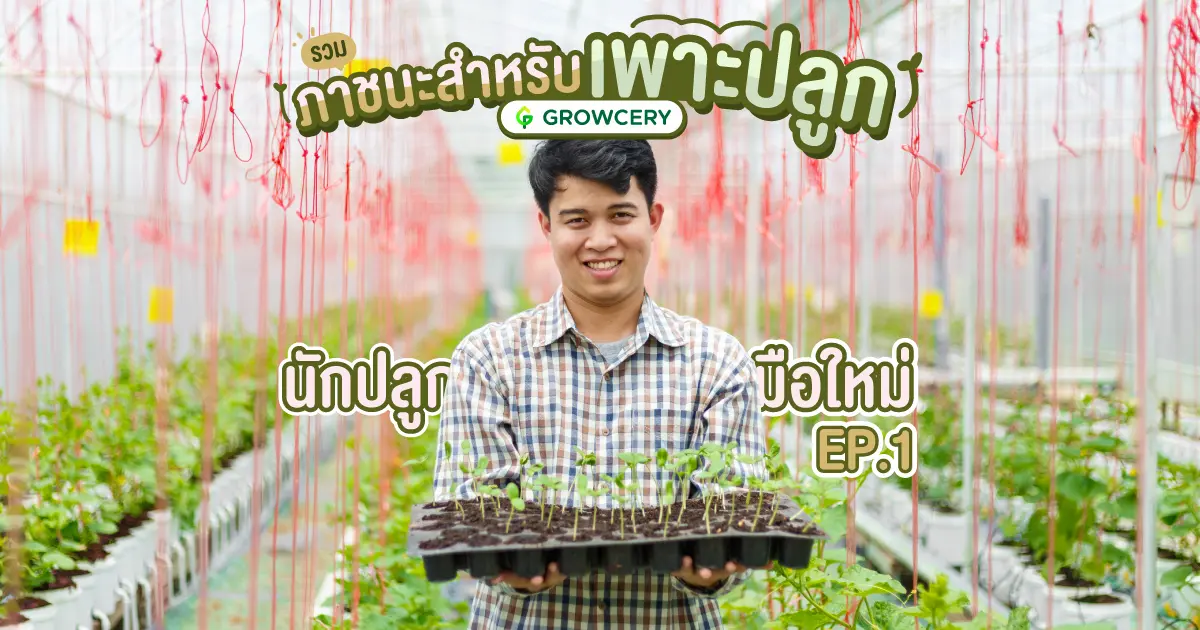 ภาชนะสำหรับเพาะปลูก