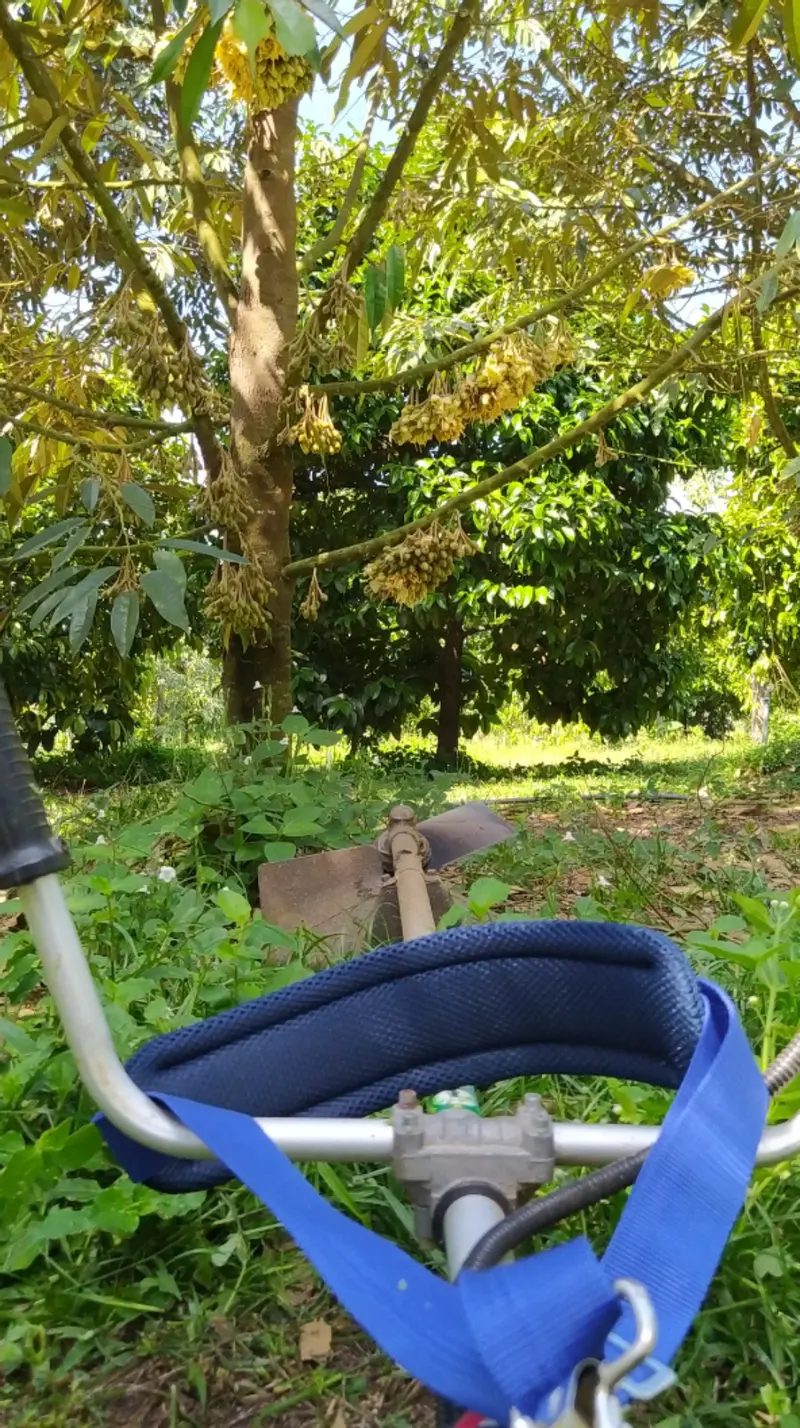 รีวิวจากลูกค้า                                         