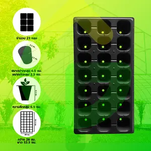ถาดเพาะกล้า ถาดเพาะชำ จำนวน 21 หลุม (หนา 1.0 มม.)