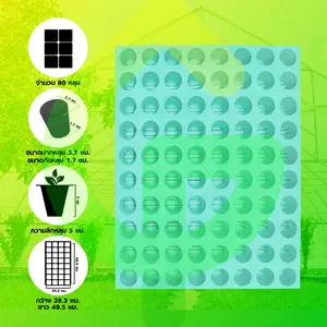 ถาดเพาะกล้าไฮโดรโปนิกส์ ถาดเพาะชำ จำนวน 80 หลุม 