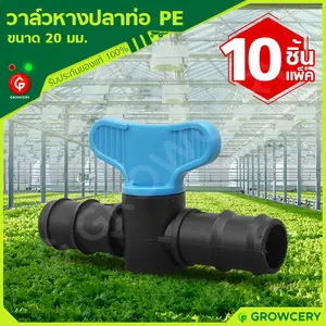 วาล์วพีอี วาล์วหางปลา สำหรับท่อ PE ขนาด 20 มม. **10 ชิ้น/แพ็ค**