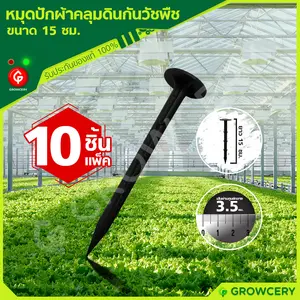 หมุดปักผ้าคลุมดินกันวัชพืช หมุดยึดพลาสติกคลุมวัชพืช ขนาด 6 นิ้ว (15 ซม.) ทรงตะปู **10 ชิ้น/แพ็ค**