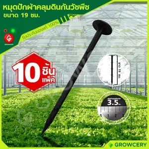 หมุดปักผ้าคลุมดินกันวัชพืช หมุดยึดพลาสติกคลุมวัชพืช ขนาด 8 นิ้ว (20 ซม.) ทรงตะปู **10 ชิ้น/แพ็ค**