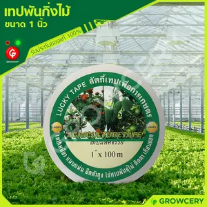 เทปพันกิ่งไม้ ขนาด 1 นิ้ว ยี่ห้อ LUCKY TAPE