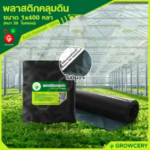 พลาสติกคลุมแปลงขนาด 1 x 400 หลา
