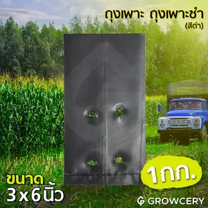 ถุงเพาะชำ สีดำ 1 กก. ขนาด 3x6 นิ้ว 