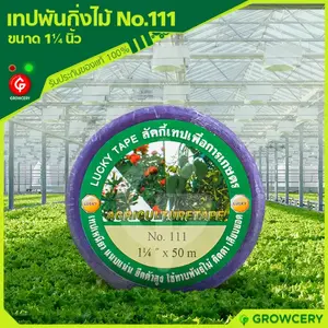 เทปพันกิ่งไม้ เทปติดตาต้นไม้ ขนาด 1.25 นิ้ว ยาว 50 ม. ยี่ห้อ LUCKY TAPE No.111 